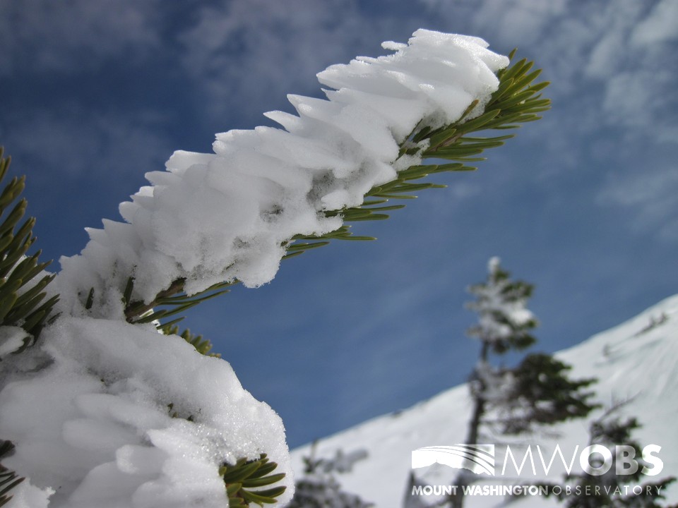 Exploring the Alpine Zone In Winter - Mount Washington Observatory
