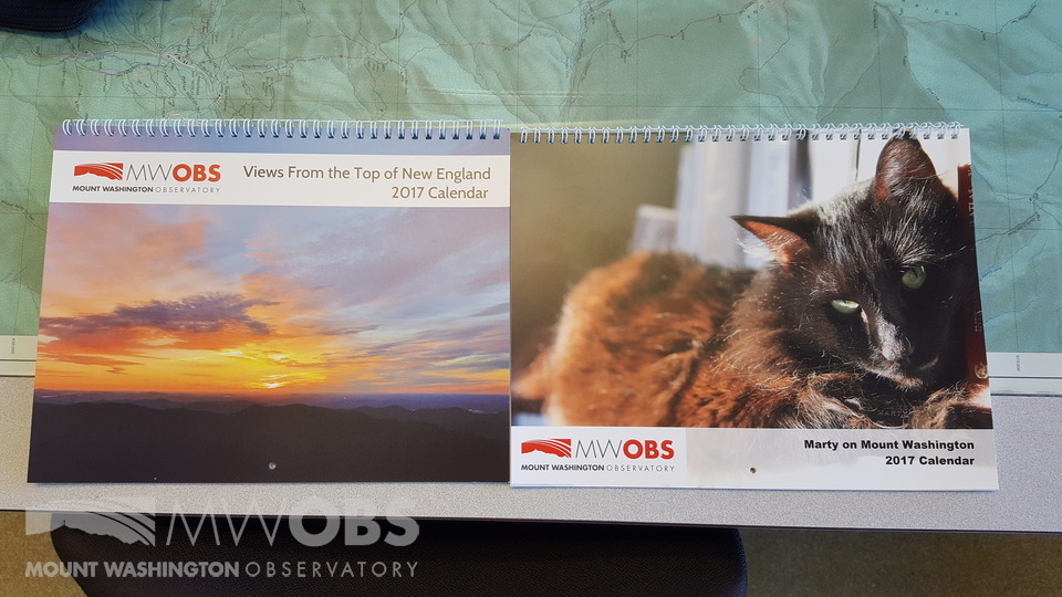 Vista and Marty 2017 calendars